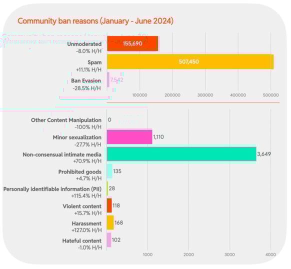 2024 H1 Chart 17 : Community ban reasons (January - June 2024)