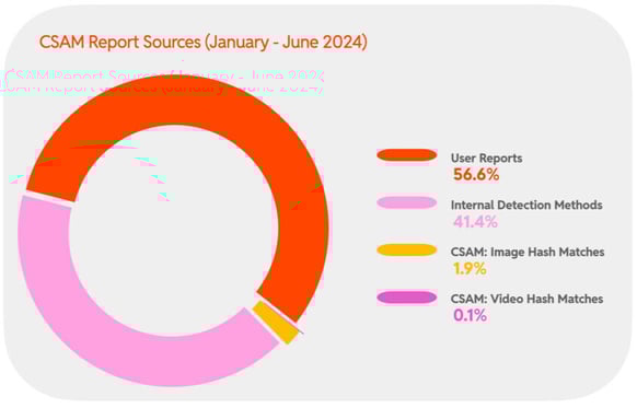2024 H1 Chart 34